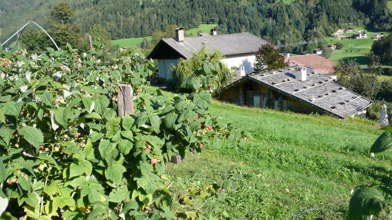 圣马蒂诺Obergereuth Hof 1288公寓 外观 照片