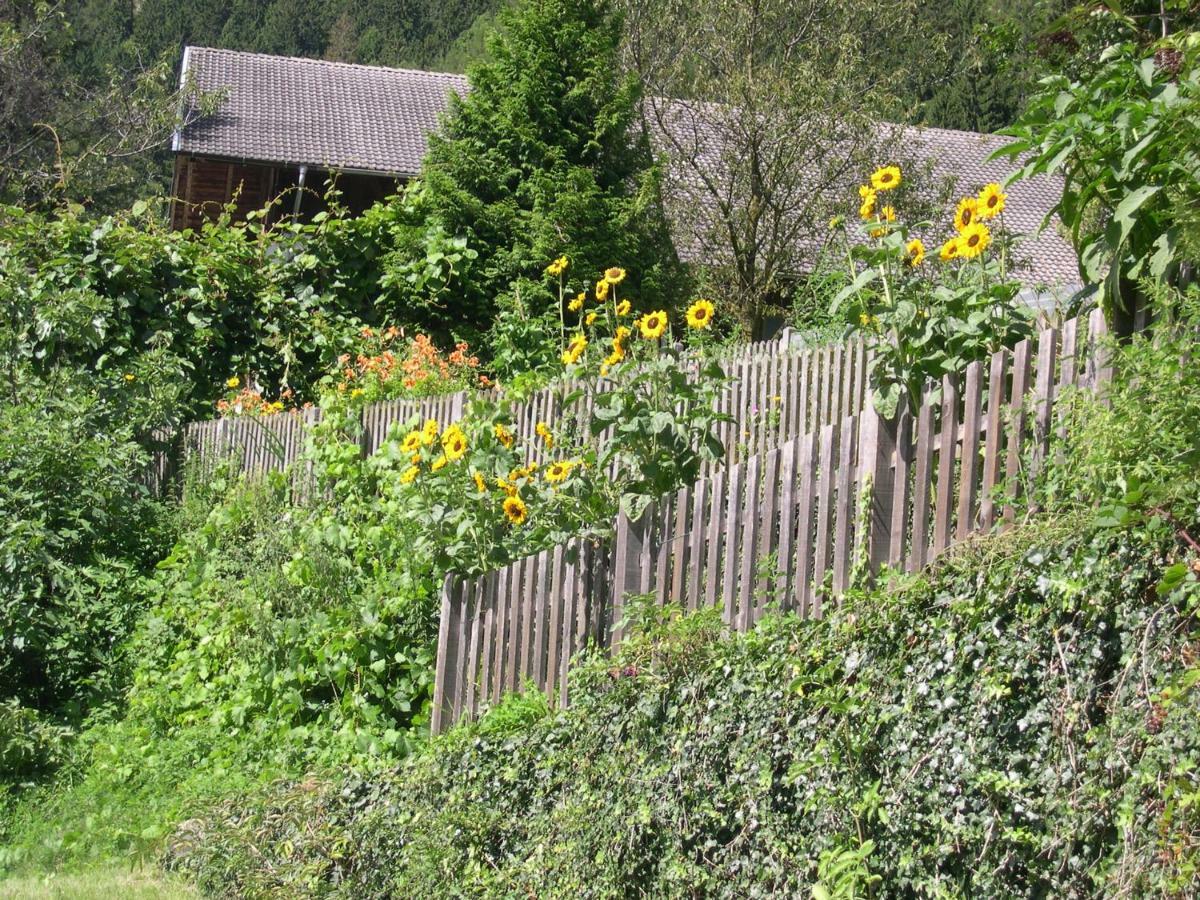 圣马蒂诺Obergereuth Hof 1288公寓 外观 照片