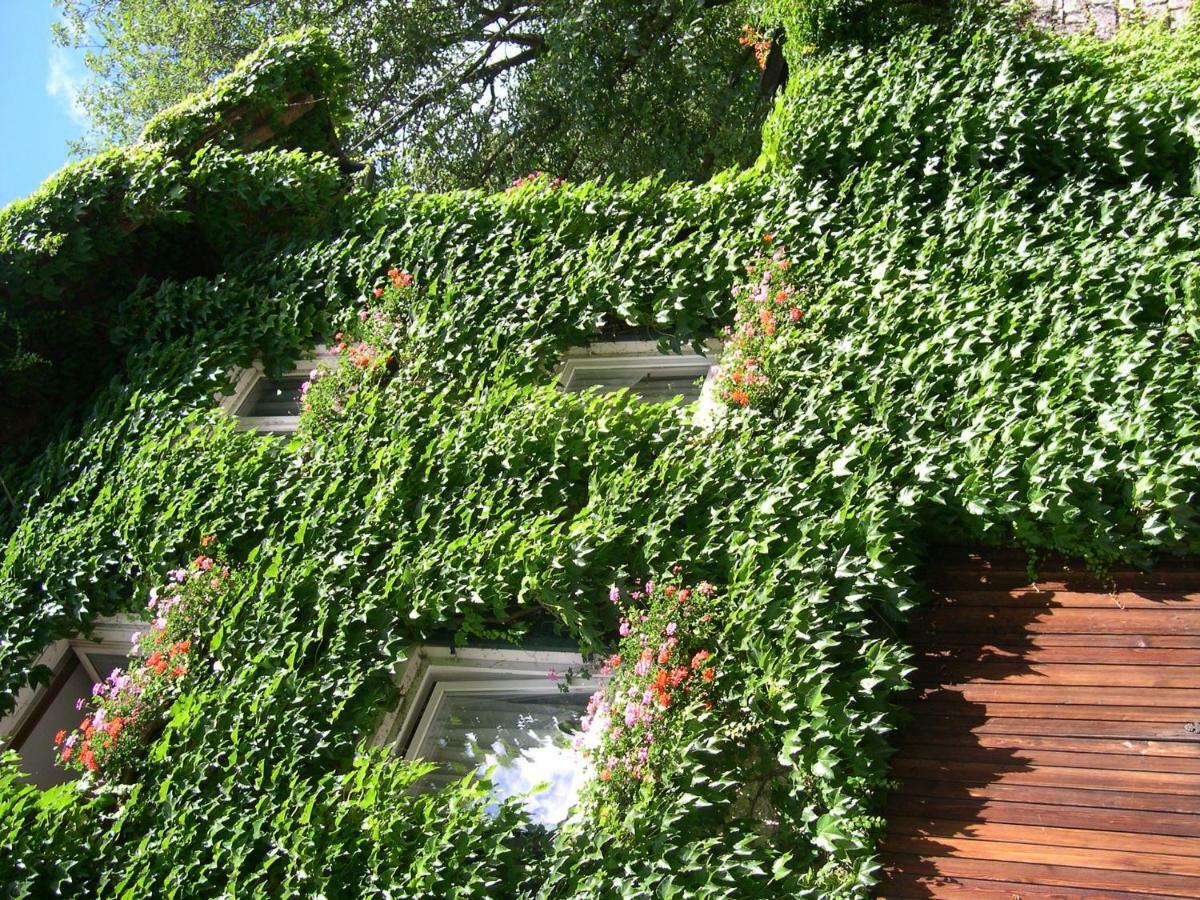 圣马蒂诺Obergereuth Hof 1288公寓 外观 照片