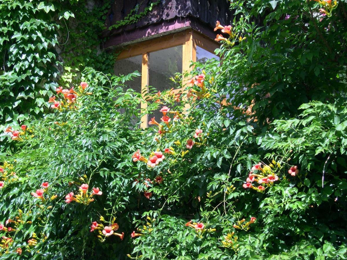 圣马蒂诺Obergereuth Hof 1288公寓 外观 照片